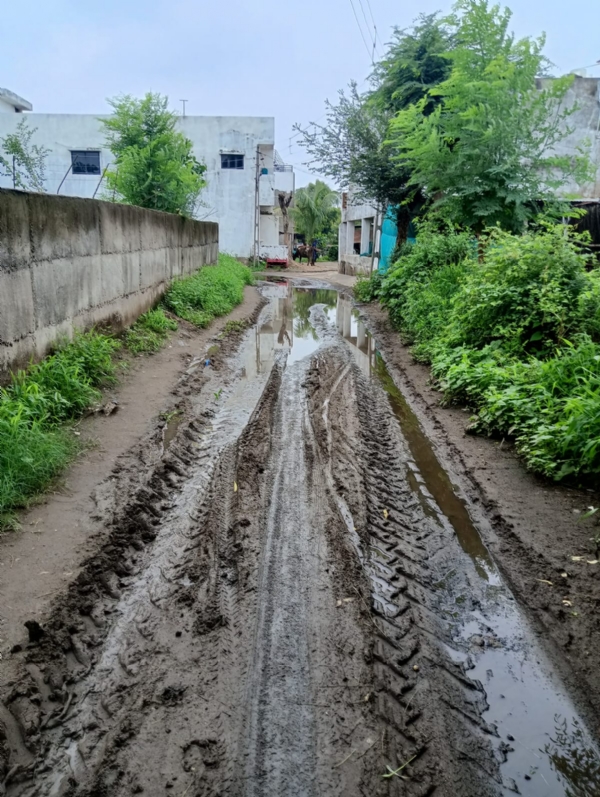 *Aravalli: People in Navi Borol village of Borol Gram Panchayat of Bayad taluka are suffering from mud and mud*