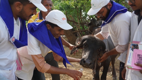 પશુપાલન શિબિરનું આયોજન