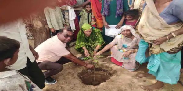 વૃક્ષારોપણથી હરિયાળું ભવિષ્ય – વોર્ડ 9 માં મહત્વપૂર્ણ પગલું