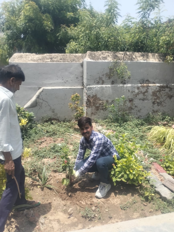 વિશ્વ પર્યાવરણ દિનની ઉજવણી કરવામાં આવી
