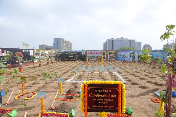 મિશન ફોર મિલિયન ટ્રીઝ અભિયાન મિશન ફોર મિલિયન ટ્રીઝ અભિયાન