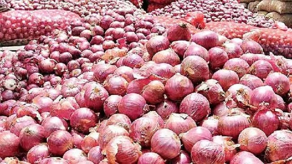 ડુંગળી