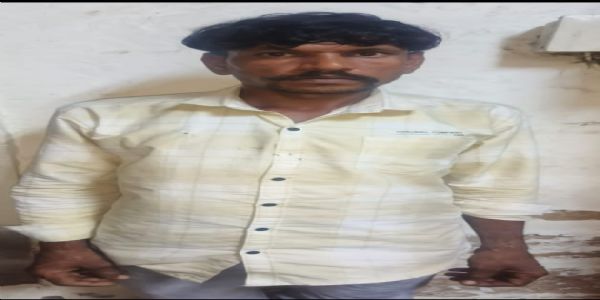 વચગાળાના જામીનમાં ફરાર આરોપી ઝડપાયો