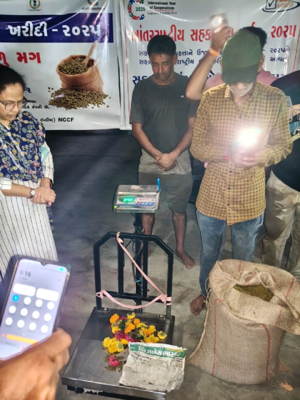 કુતિયાણા એપીએમસી ખાતેથી ટેકાના ભાવની ખરીદીની શરૂઆત.