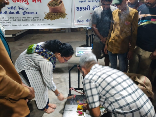 કુતિયાણા એપીએમસી ખાતેથી ટેકાના ભાવની ખરીદીની શરૂઆત.