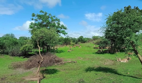 અમરેલી જિલ્લામાં ફરવા લાયક સ્થળો આવેલા છે