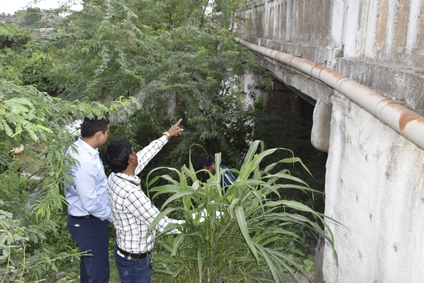 માંગરોળ નજીક પુલની મુલાકાત લીધા બાદ