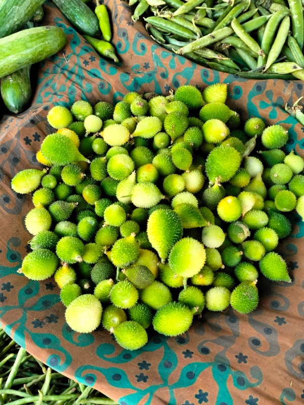 પોષકતત્વોના ખજાનાથી ભરપૂર