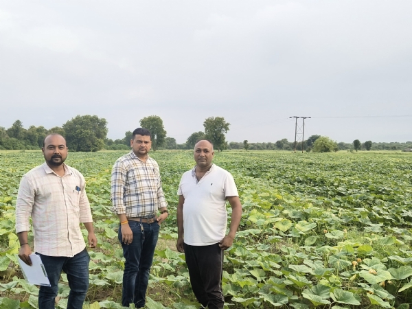 પરપ્રાંતિય ખેડૂતો દ્વારા શાકભાજીમાં ઝેરી ઈન્જેક્શનનો ઉપયોગ થતો નથી: ખેતીવાડી વિભાગની તપાસમાં ખુલાસો