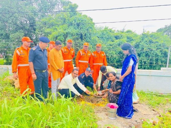 Valsad