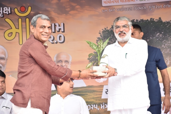 દંતાલી ખાતે વૃક્ષારોપણ કાર્યક્રમ યોજાયો