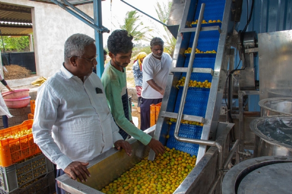 ખારેકના ઉત્પાદનમાં સફળતા મેળવનારા ખેડૂત