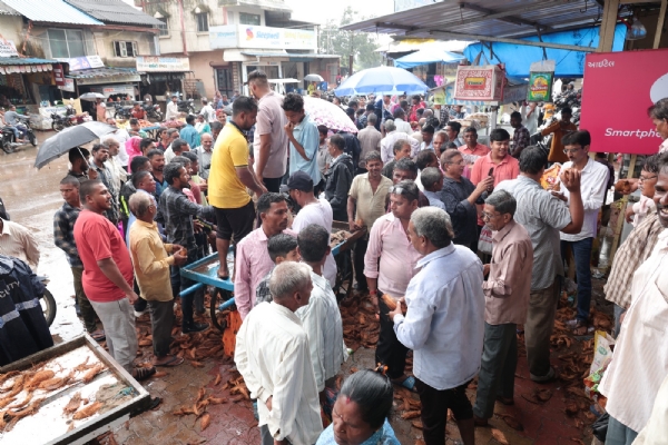 Valsad