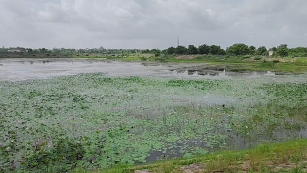 રાપરનું નગાસર તળાવ