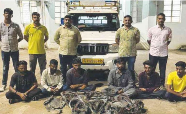 ચોરી કરતી ગેંગના સભ્યો પકડાયા