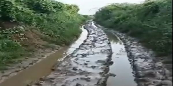 સરિયદ ગામમાં ભારે વરસાદને કારણે, રસ્તાઓ પર ભરાયેલા પાણી અને કાદવ-કીચડના કારણે ખેડૂતો અને પશુપાલકોને મુશ્કેલી