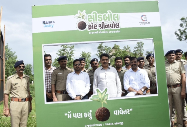AMBAJI MA SEED BALL FOR GREE WALL