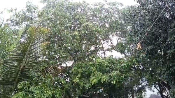 પોરબંદરના બરડા પંથકમાં ધોધમાર વરસાદ.