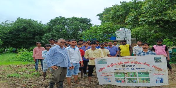 ઉમરગામ અંકલાસના ખેડૂત હસમુખભાઈ પટેલે યુવા ખેડૂતો પ્રાકૃતિક ખેતી તરફ વળે તે માટે અભિયાન છેડયું