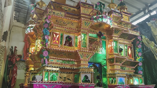 વીજપડી ગામ માં અનોખી એકતા