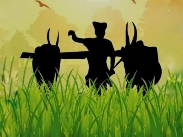 વિદેશમાં નિકાસ કરવાની તક
