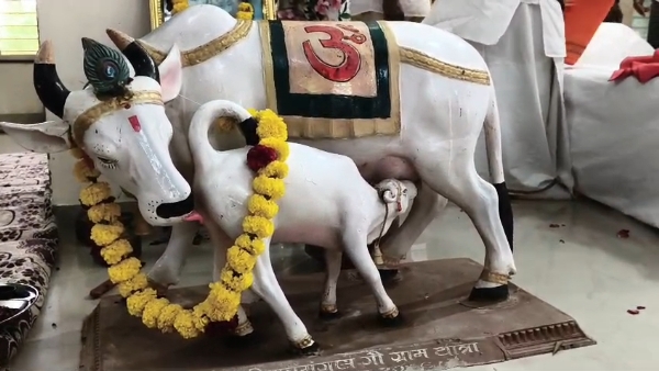 મહેસાણા થી પ્રારંભ થયેલી ગૌકથાની શ્રેણી, ગુજરાતના ૧૦૮ સ્થળે થશે આયોજન