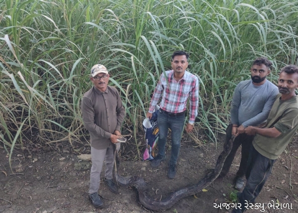 વન્યજીવ અને સાંસ્કૃતિક ધરોહરનું