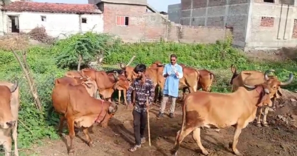 લંપી વાયરસથી બચાવ માટે રસીકરણ કાર્યક્રમ