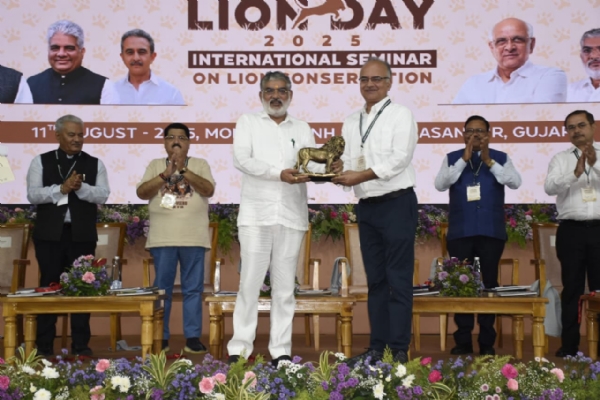જૂનાગઢ જિલ્લાના સાસણ ખાતે