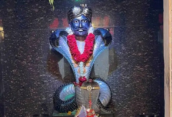 પાટણમાં ભક્તિમય નાગપંચમીની  ઉજવણી, ઠેર ઠેર ગોગા મહારાજના મંદિરે પણ મોટી સંખ્યામાં ભક્તોએ દર્શન-પૂજન કર્યા