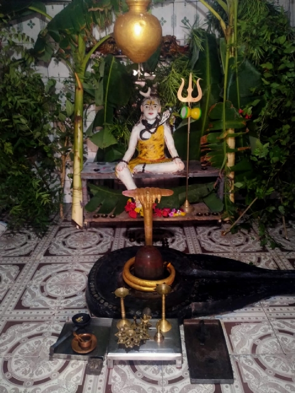 મહાકાલેશ્વર મહાદેવ મંદિરે ઘીપૂજન