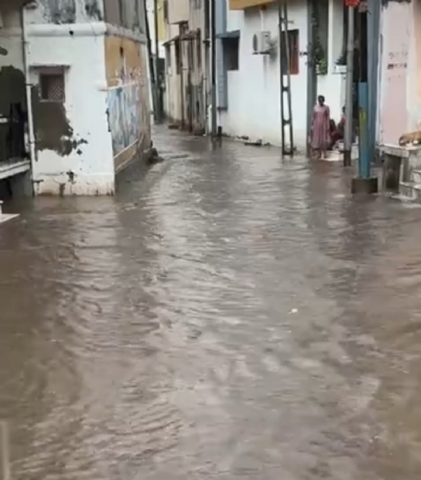 પાટણમાં મેઘરાજાની પધરામણીથી ખેડૂતોમાં ખુશી