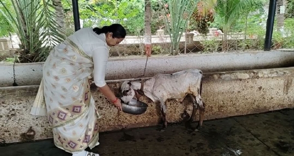 સાવરકુંડલા માનવ મંદિર આશ્રમે ડિસ્ટ્રિક્ટ એન્ડ સેશન જજ કુમારી રીઝવાના બેન બુખારી અને સરકારી વકીલ મમતાબેન ત્રિવેદીની મુલાકાત