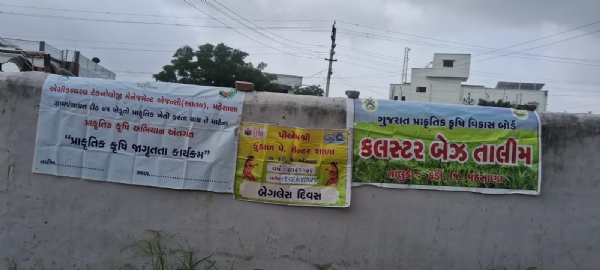 કુંડાળ શાળામાં બેગલેસ શનિવારે પ્રાકૃતિક ખેતીની પ્રેરણાદાયક કામગીરી : બાળકોએ બનાવી પોતાનું કિચન ગાર્ડન