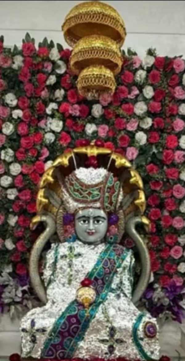 અષાઢીય પાર્શ્વનાથની ભવ્ય આંગી દર્શને ભાવિકો ઉમટ્યા