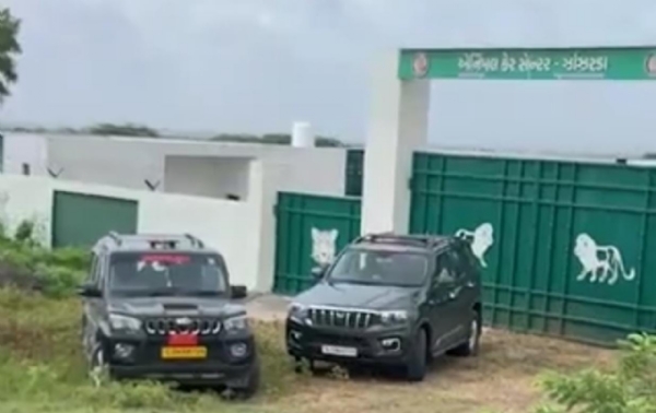 ગાંધીનગરથી ઉચ્ચ વન અધિકારીઓ અમરેલીના ધામા