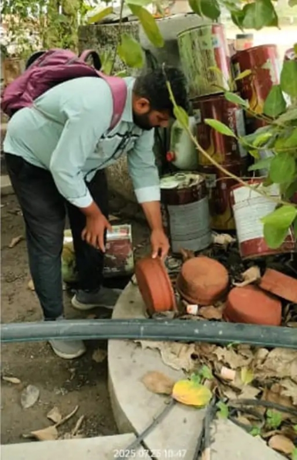 રોગચાળો