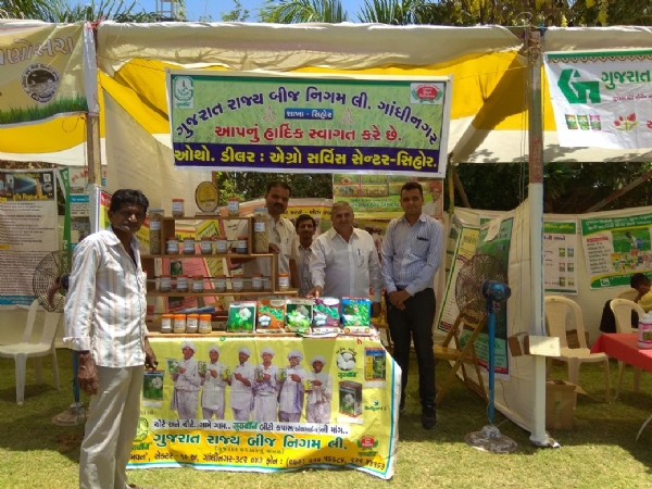 પ્રતિકાત્મક તસવીર