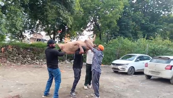 AMBAJI MA SUVAR PAKDVANI ZUNBES