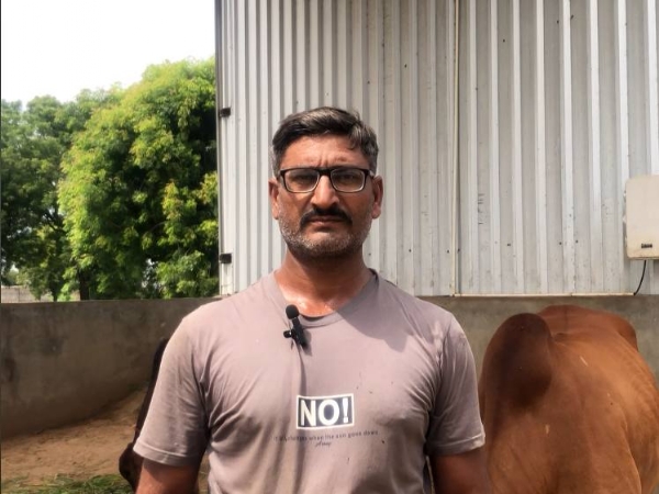 ગૌપાલનથી સફળતા: ઘાઘરેટના રાજેશભાઈને માસિક ₹3 લાખ સુધીની આવક