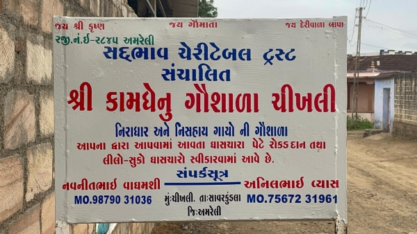 ચીખલી ગામમાં 25 લાખના ખર્ચે ગૌશાળાની સ્થાપના: ગાયોને મળી સંરક્ષણની નવી આશા