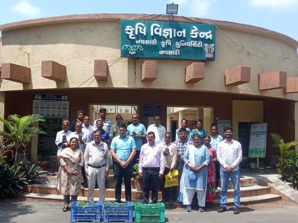 કેવિકે ખાતે ટીંડોળા અને પરવળની વૈજ્ઞાનિક