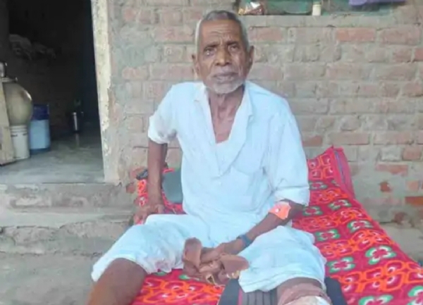 ધાણોધરડા ગામમાં વાનરના આતંકથી ભયનો માહોલ