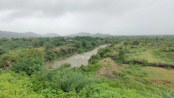 પોરબંદરના બરડા ડુંગરમાં દારૂની ભઠ્ઠીઓ માટે વનવિભાગનું મેગા ઓપરેશન.