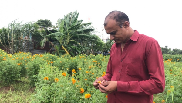મહેસાણાના હરિભાઈ ચૌધરી : ફૂલની બાગાયતથી સફળતા તરફ સફર
