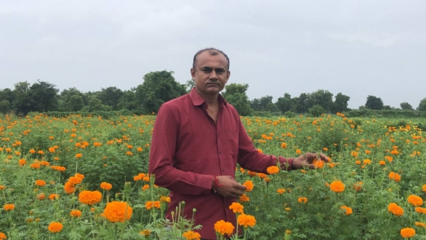 મહેસાણાના હરિભાઈ ચૌધરી : ફૂલની બાગાયતથી સફળતા તરફ સફર