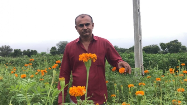 મહેસાણાના હરિભાઈ ચૌધરી : ફૂલની બાગાયતથી સફળતા તરફ સફર