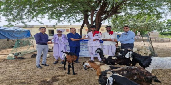 જામનગર જિલ્લાના નવાણિયા ગામે પશુ રોગ નિદાન અને સારવાર કેમ્પનું આયોજન કરાયું