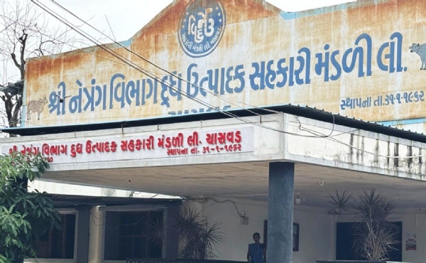 ચાસવડ મંડળીના આશરે 3 કરોડના ભ્રષ્ટાચારમાં 81 ની કલમ હેઠળ 17 ડિરેક્ટરોને બરતરફ કર્યા