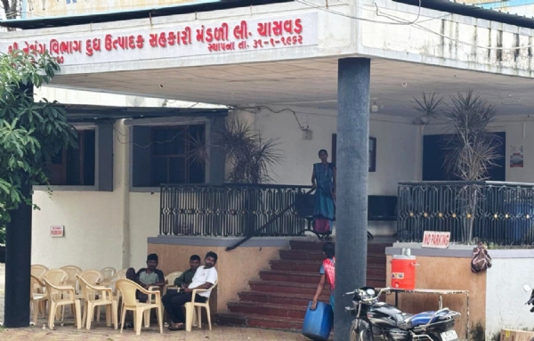 ચાસવડ મંડળીના આશરે 3 કરોડના ભ્રષ્ટાચારમાં 81 ની કલમ હેઠળ 17 ડિરેક્ટરોને બરતરફ કર્યા